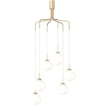 Apiales Cluster 6 Chandelier, Brass / Opal