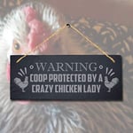 Stukk Warning Hot Attack Hanging Chick Shed Sign (Coop Protected by Chicken), Natural Engraved Slate Stone Plaque, 30x12cm (Large)