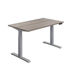 Office Hippo Sit Stand Desk with Electric Twin Motor and Built-in Memory, Engineered Wood, Grey Oak with Silver Frame, 120 x 80 x 65 to 131 cm