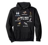 Dirty Birds Of The World Birding Bird Watching Bird Lover Pullover Hoodie