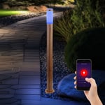 Borne d'éclairage avec détecteur de mouvement lampe d'extérieur capteur lampadaire aspect bois, contrôle app cct, acier inoxydable, 1x Smart rgb led