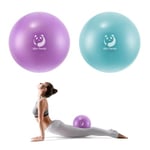 Slim Panda Ballon Pilates Petite, 23 cm Anti-Slip Ballon de Gymnastique avec Paille de Gonflage, Soft Yoga Ball Équilibre pour Seniors Thérapie, Maison, Fitness, Entraînement à l'équilibre