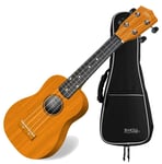 Ukulele Guitare Soprano 4 Cordes Bois Acajou Hawaii Uke 15 Frets Marron Housse