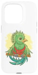 Coque pour iPhone 15 Pro Dessin animé mignon oiseau Quetzal