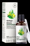 Aura Herbals - Ginkgo Biloba, Ginkgo Extract 50:1, 45 Mg, (50 ml)