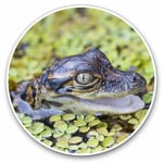 2 x Vinyl Stickers 10cm - Baby Alligator Swamp Wild Fun Cool Gift #2324