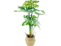 Eurogardiner Alocasia, Kunstig Blomst I En Kurv