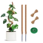 2Pcs Tuteur Plante, 60Cm Tuteur Plante Pliable Tuteur Plante Coco Support pour Plantes Grimpantes Extendable pour Plante Grimpantes Jardin Maison