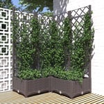 vidaXL plantekasse med espalier 80x80x121,5 cm PP brun