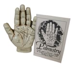 Small Palmistry Hand Kit Boxed Palm Reading Divinitory New Age