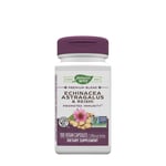 Nature's Way - Echinacea Astragalus & Reishi