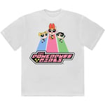 Power Puff Girls - T-Shirts - Large - Short Sleeves - Catch Flight - R500z