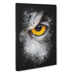 Eye of an Owl Paint Splash Canvas Print for Living Room Bedroom Home Office Décor, Wall Art Picture Ready to Hang, 30 x 20 Inch (76 x 50 cm)