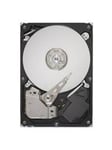 Lenovo - hard drive - 6 TB - SAS 12Gb/s - 6TB - Harddisk - 7XB7A00048 - SAS3 - 3.5"