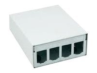 Btr E-Dat Modul - Ytmonteringsbox För Nätverk - Väggmontering - Kritvit, Ral 9010 - 4 Portar - För P/N: 1308990111-I