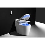 Toptoilet - wc japonais monobloc Luxe Platinium 2 Plus