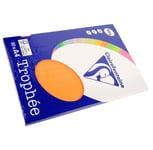 Clairefontaine Lot de 10 Ramettes 50 Feuilles Papier 160g A4 210x297 mm Certifié FSCclémentine