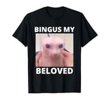 Bald Bingus My Beloved Hairless Sphinx Cat Bingus Cat Meme T-Shirt