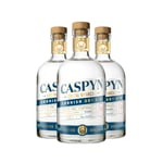 Pocketful of Stones - Caspyn Cornish Dry Gin 40% ABV 3 x 70cl