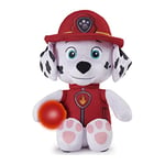 Paw Patrol, Peluche Marcus à câliner avec Lampe Torche et Effets sonores, pour Les Enfants à partir de 3 Ans