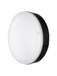 LEDVANCE surface bulkhead outdoor sensor 250mm 800lm 10w 830