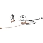 Dpa D:fine 66 2-Ear Omni Headset Beige 110 mm Boom