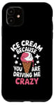 iPhone 11 Ice Cream Because You Are Driving Me Crazy Case