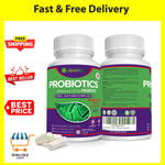 PROBIOTICS for Women and Men – Prebiotics-Enriched Probiotics Gut