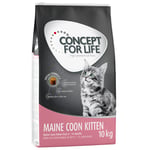 10 kg / 9 kg Concept for Life erikoishintaan! - Maine Coon Kitten 10 kg