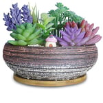 ARTKETTY 20.3 CM Large Round Succulent Plant Pots with Drainage Tray Ceramic Bonsai Pots for Indoor/Outdoor Plants Garden Decorative Cactus Flower Plant Bowl