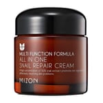 Mizon All In One Snail Repair Cream 75 ml