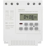 TM-163 Programmerbart tidsrelä 380V/50-60Hz 16A Veckorelä Power Timer Switch Trefas Timer Switch Smart Digital C