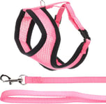 Flamingo Chat Harnais avec Laisse Chaton Harms Rose 28cm 32-41cm 110cm 10mm