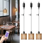 BRIMETI Suspension Luminaire Rotin, Lampe Suspendue avec Ampoule E27 Exterieur Portable Vintage Étanche Dimmable Avec Télécommande, Pour Jardin, Camping,Chambre, Sans Batterie (Lot De 3)