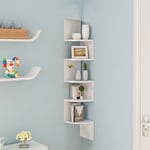 Sifree - 5 Tier etagères d'angle flottantes rangement de fixation murale pour maison bureau salon chambre type 2