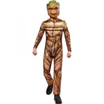 Guardians Of The Galaxy Volume 3 Childrens/Kids Deluxe Groot Costume Set - 3-4 Years