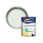 Dulux Natural Hints Walls & Ceilings Jade White Silk Paint 5L