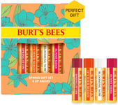 Burt's Bees Lip Balm Gift Set, Pomegranate, Coconut & Pear, Watermelon, Sweet