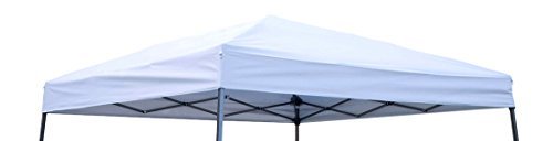 Trademark Innovations Simplement Sports carré Auvent de Rechange Tonnelle Dessus pour 10 'Slant Jambe Canopy, 8 par 8', café 8' x 8' Blanc argenté