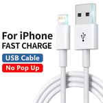 USB Cable for iPhone 3m Câble de charge rapide USB PD , Apple iPhone