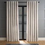 OHS Silver Curtains Velvet, Fleece Lined Thermal Blackout Curtains for Living Room Bedroom Home Accessories Energy Saving Winter Warm Insulated - Silver, 90" x 90"