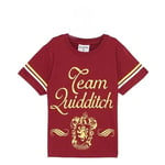 Disney T-shirt Harry Potter garçon, bordeaux, 6 ans