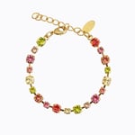 Caroline Svedbom Calanthe Armband / Tropicana Combo (Guld)