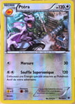 Carte Pokémon 76/124 Ptéra 120 Pv - Reverse Xy - Impact Des Destins Neuf Fr