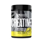 Warrior Creatine Monohydrate Powder 500g – Micronised for Easy Mixing and Consumption – Proven to Improve Physical Performance/Recovery, 5g Servings (Lightning Lemonade)