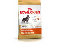 Royal Canin Miniature Schnauzer Adult, Vuxen, Dvärgschnauzer, Mini (5 - 10Kg), 3 Kg