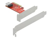 Delock - Gränssnittsadapter - U.2 Nvme - Låg Profil - Pcie 4.0 X4