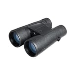 Jumelles NOBLEX NF 8x56 Inception | Optimisées pour Le crépuscule | Jumelles de Haute qualité pour Adultes pour la Chasse, l'observation des Oiseaux ou pour la randonnée | étanches et Antichoc | Noir