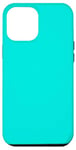 Coque pour iPhone 15 Pro Max Couleur unie unie bleu turquoise vif