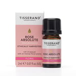 Tisserand Aromatherapy - Ethically Harvested Rose Absolute Essential Oil, Massage Oil - Ethically Harvested Rose Absolute, Bath Oil, Aromatherapy Oil - 100% Pure And Natural Essential Oil - 9 ml